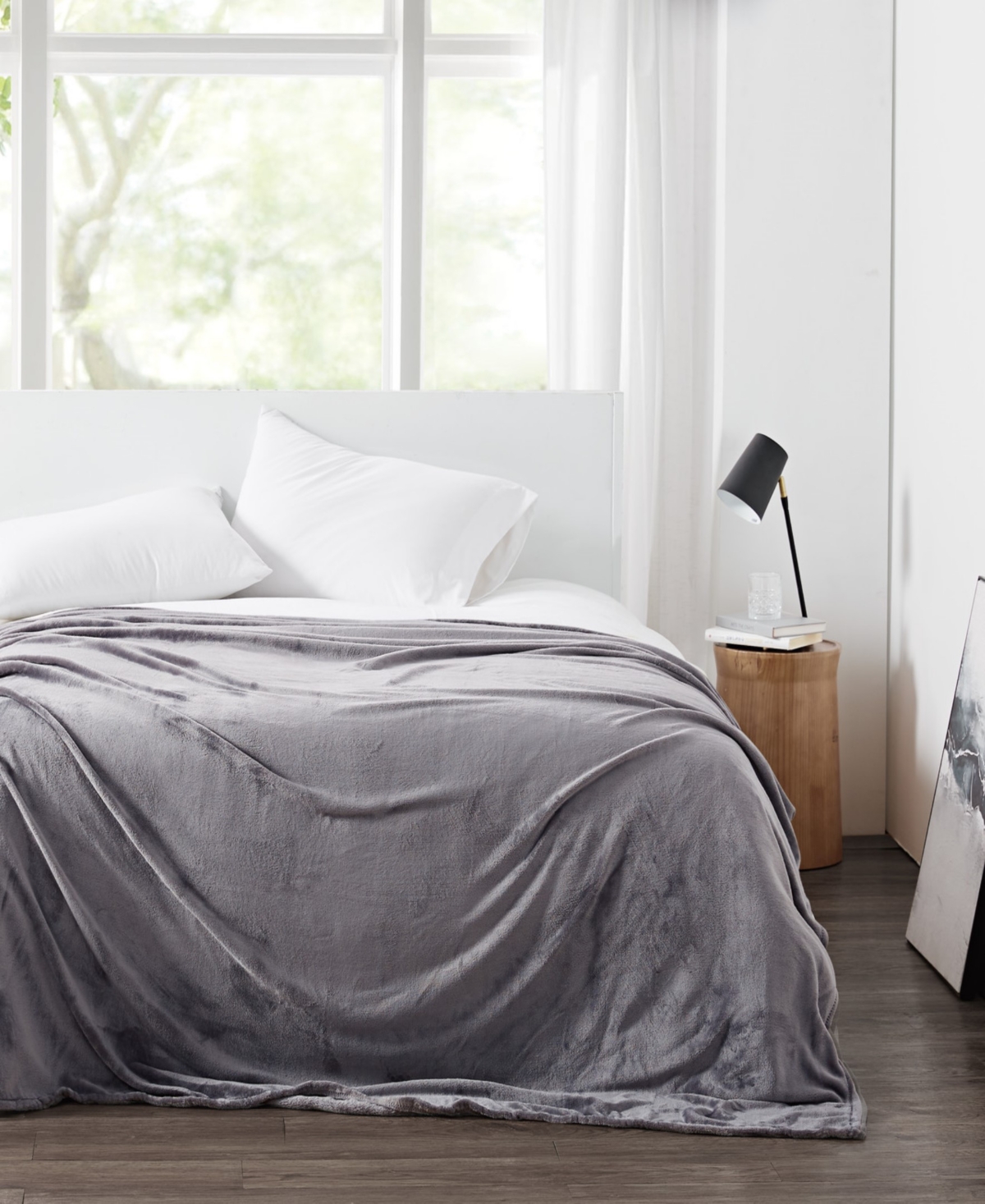 Cannon Solid Plush Blanket, Full/queen In Gray