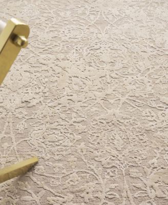 Meena ER2469 8' x 10' Area Rug