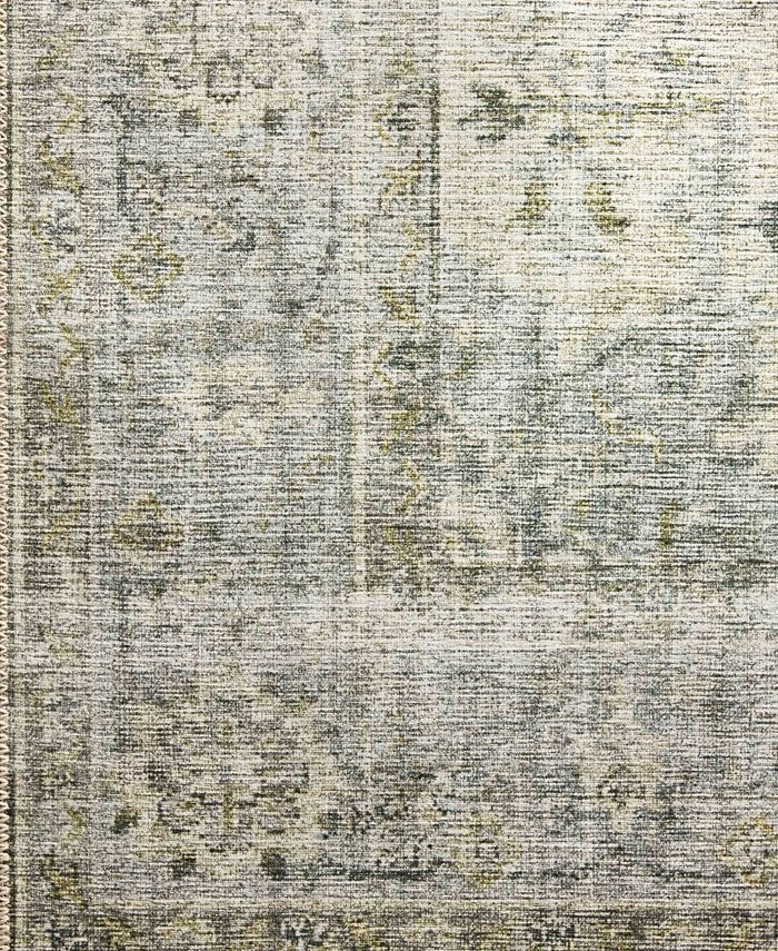 Loloi II Skye SKY12 2'3" x 3'9" Area Rug Macy's