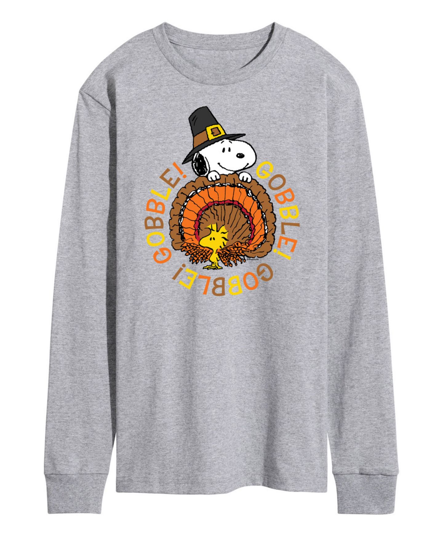 Мужская футболка AIRWAVES Peanuts Gobble Gobble Long Sleeve, цвет: Серый — фото 1