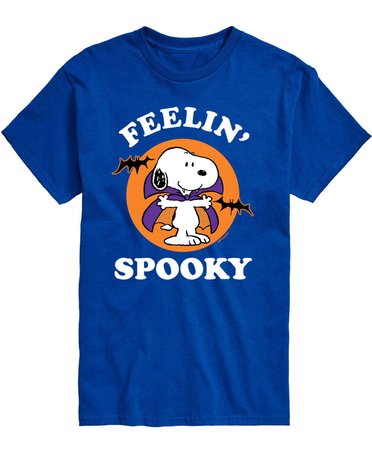 Мужская футболка AIRWAVES Peanuts Feelin Spooky, цвет: Синий — фото 1