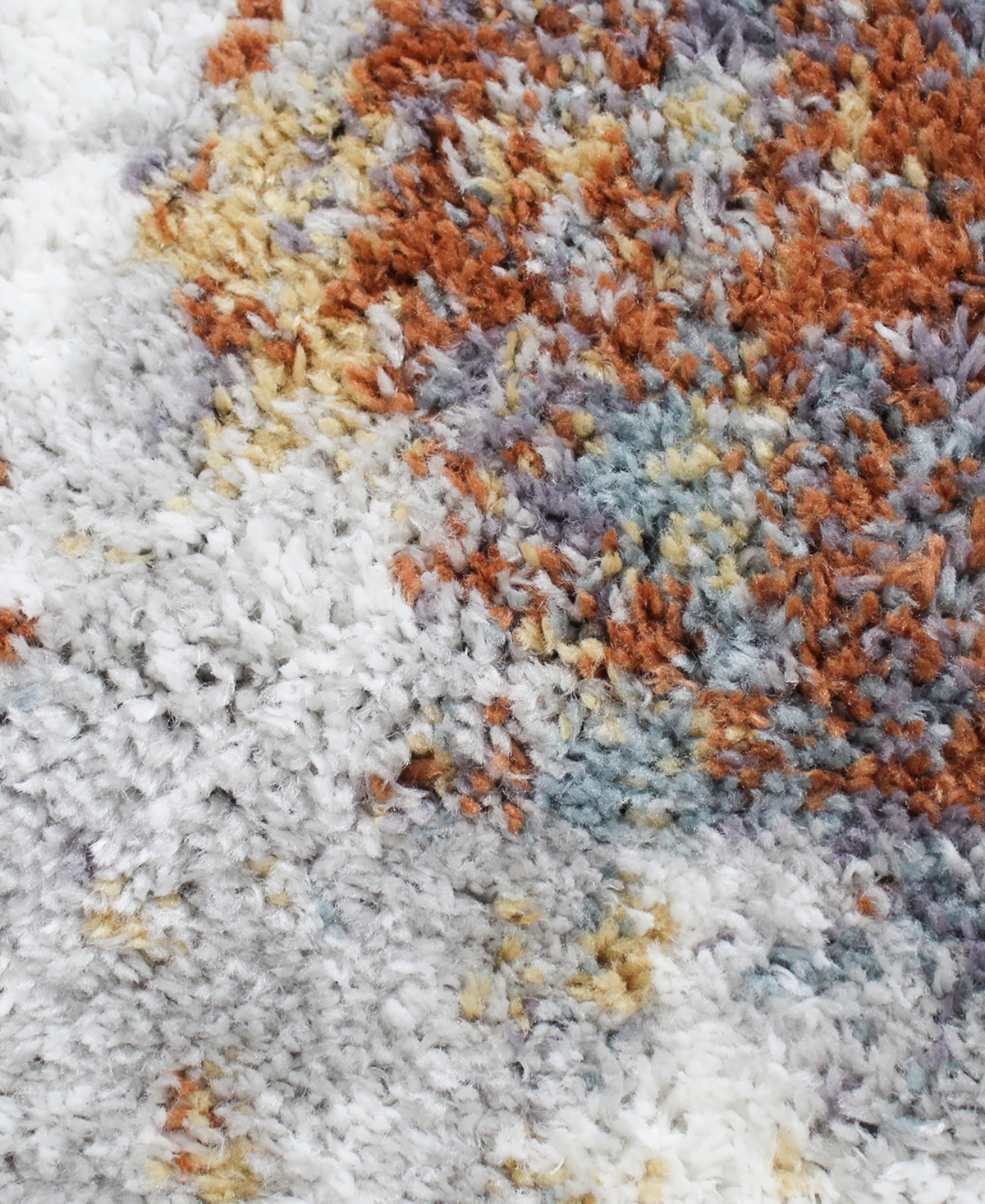 Bb Rugs Zuela ZUL101 x Area Rug