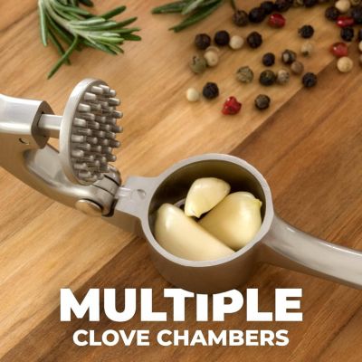 Premium Garlic Press Set - Rust Proof & Dishwasher Safe Professional Garlic Mincer Tool