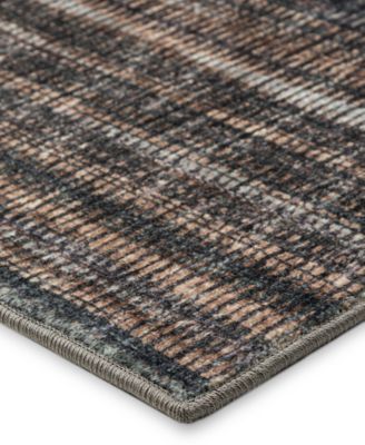 Amador Washable AA1 3' x 5' Area Rug