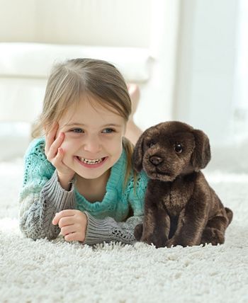 Toy box puppies deals