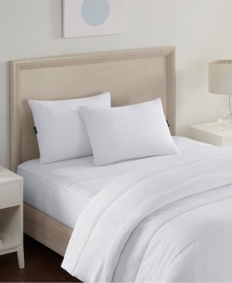Serta