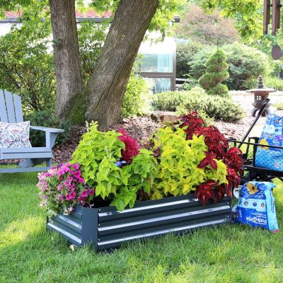 Raised Corrugated Galvanized Steel Rectangle Garden Bed for Plants, Vegetables, and Flowers - 48" L x 11.75" H
