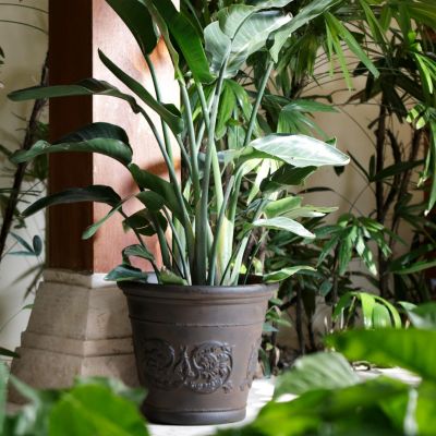 Weather-Resistant Double-Walled Arabella Outdoor Flower Pot Planter - 16"