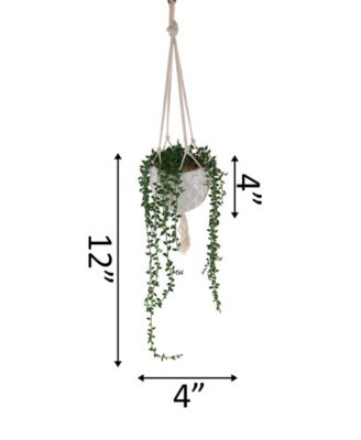 String of Pearls Macrame Hanging Ceramic Pot Donkey Tails, 4"