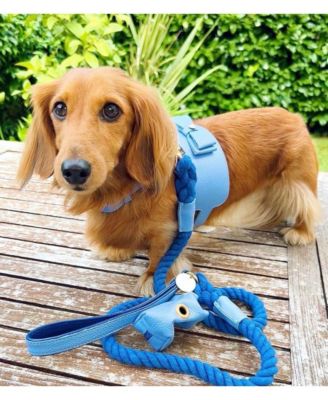 Pet Dog Waste Bag Holder - Ocean Vibes