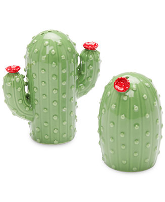 NorthPark Mall (Dallas, TX) did something…interesting : r/cactus