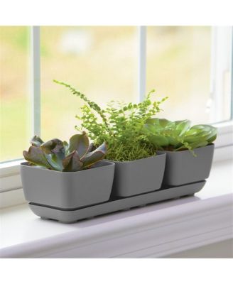(10010) Herb Trio with Attached Tray, 12" x 14" - Grey