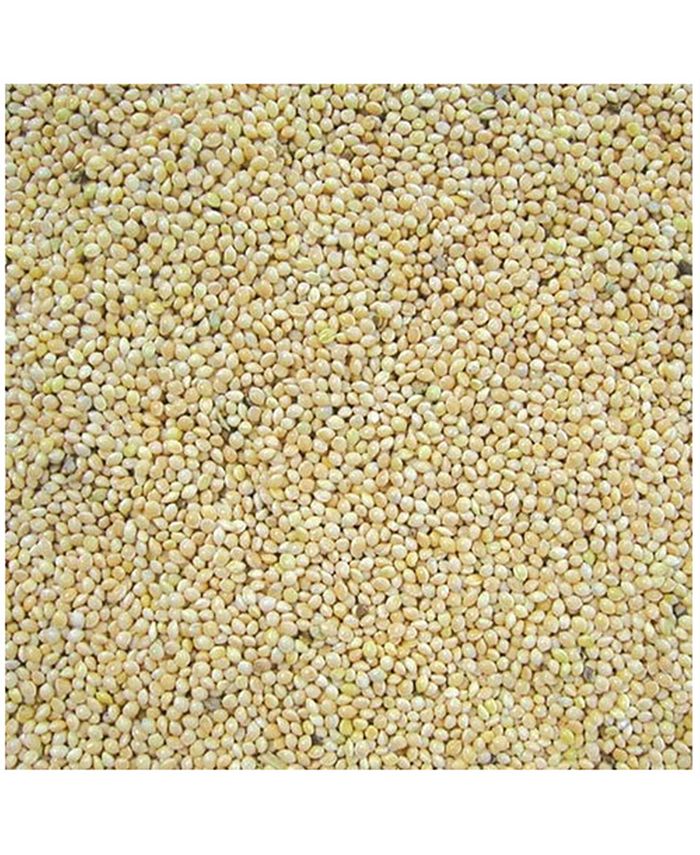Cole's CWBMI10 White Millet Bird Seed 10Pound Macy's