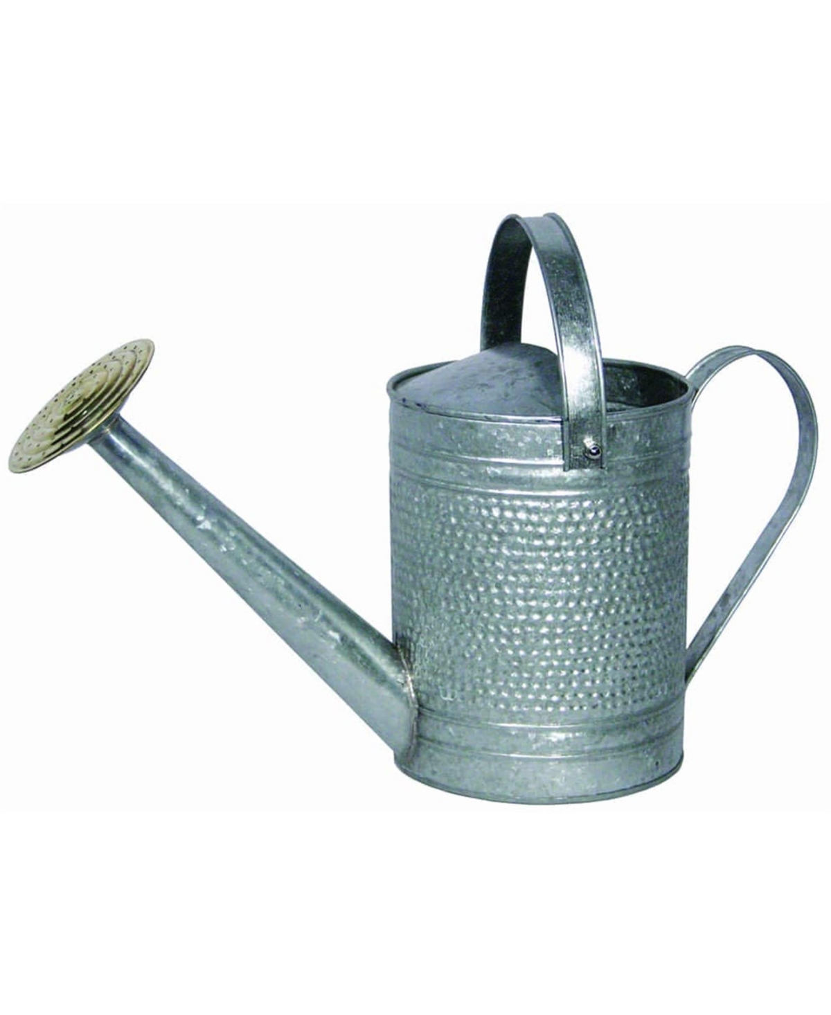 Robert Allen Home and Garden IronLite Jameson Watering Can, Galvanized - Silver