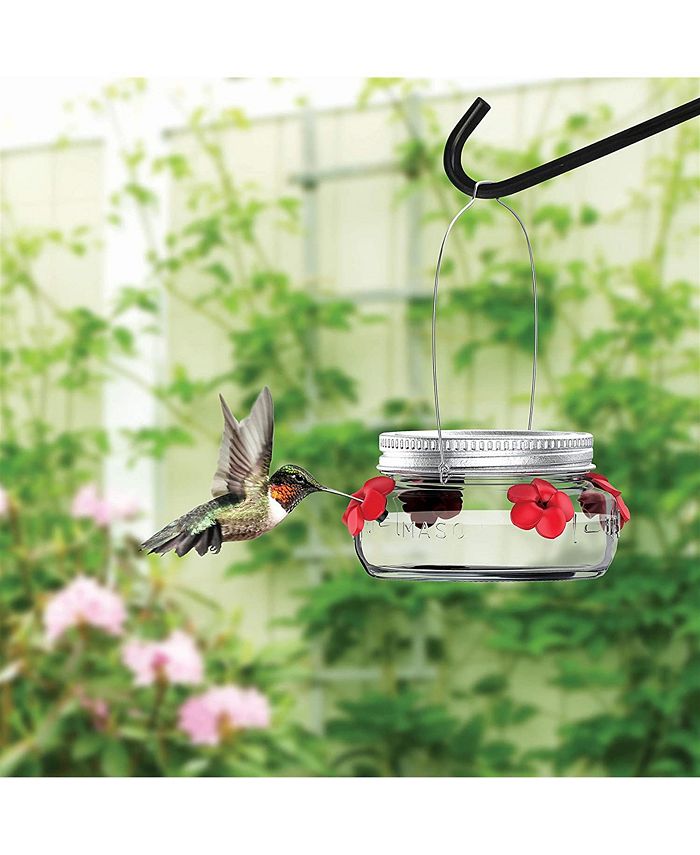 Nature's Way Bird Products Llc Natures Way Bird Products MJF1 Mason Jar