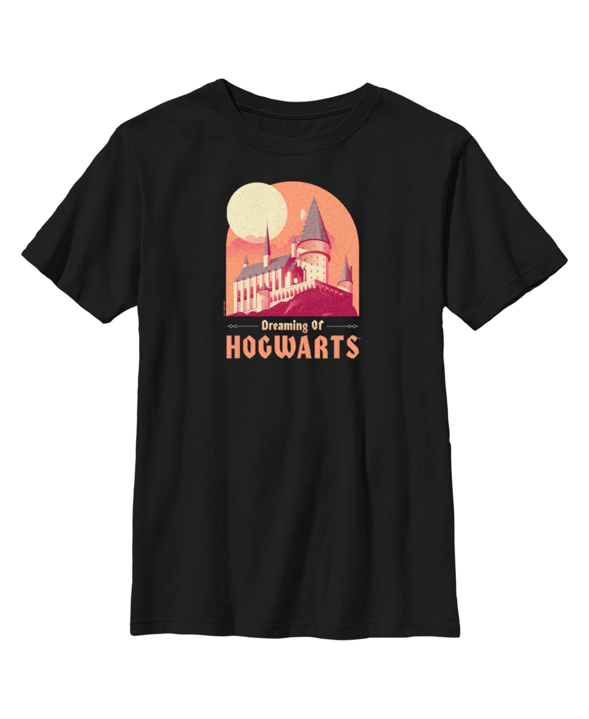 Warner Bros Kids' Boy's Harry Potter School Of My Dreams Child T-shirt In Black