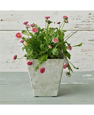 35080 Ella Square Planter Artstone Collection Mint - 10 inch