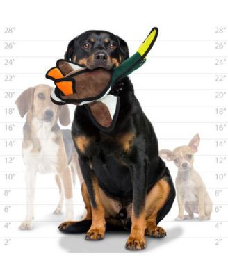 Barnyard Duck, Dog Toy