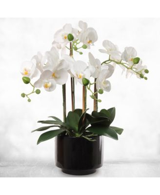 Floral Home