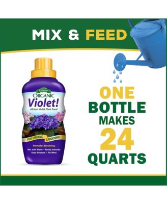 Organic Violet African Violet Food Liquid Concentrate, 8 fl oz