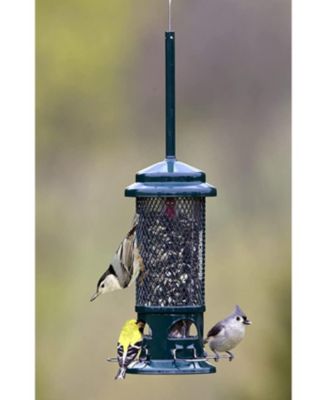 1057 Squirrel Buster Standard Wild Bird Feeder 1.3 Lb Capacity