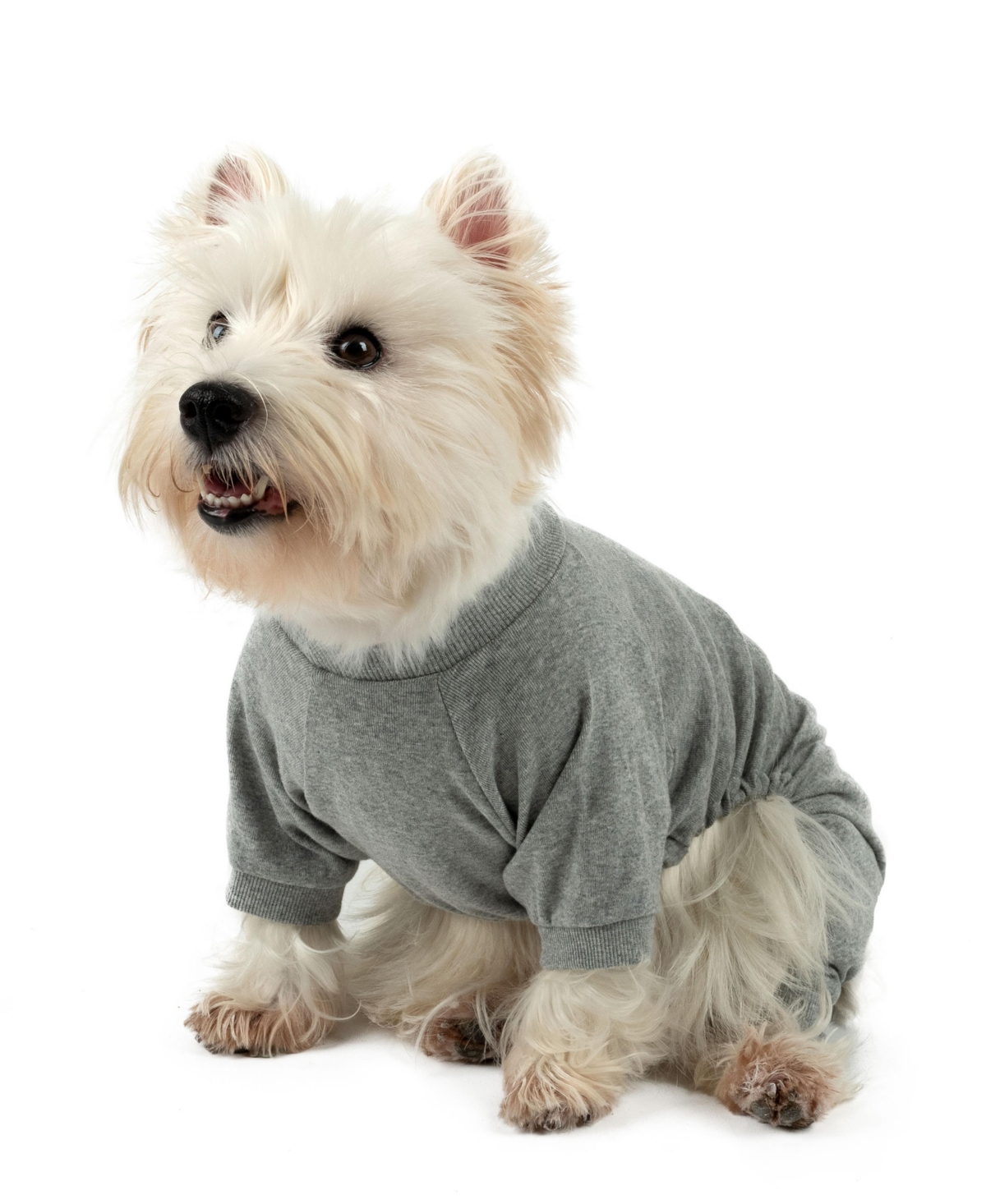 Leveret Dog Cotton Pajama Solid Light Gray