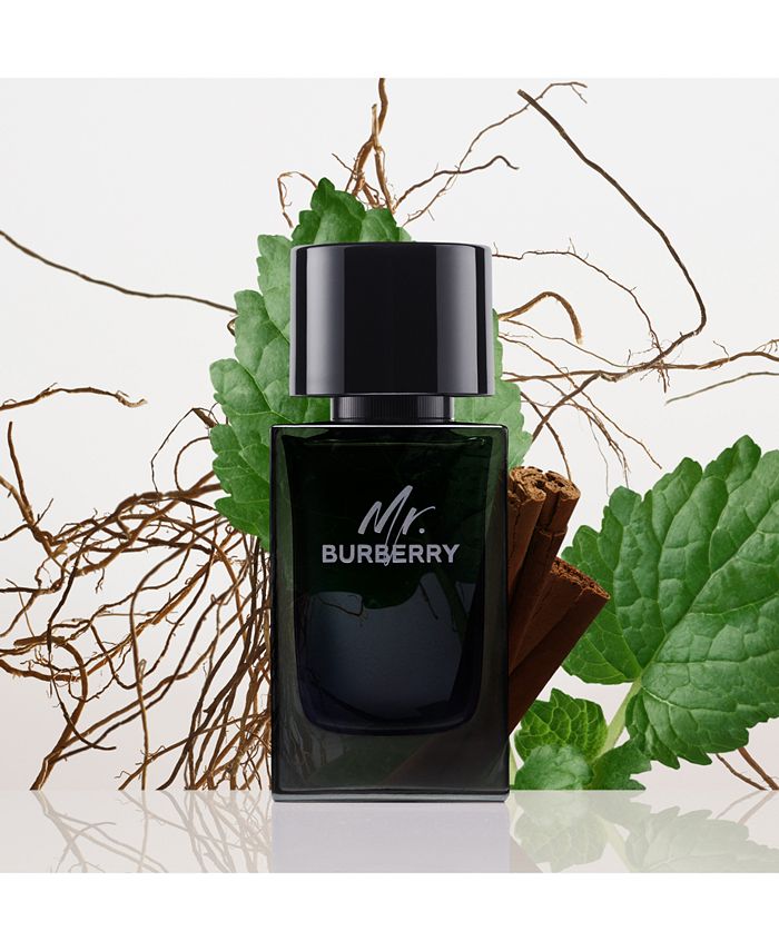 Burberry Men's Mr. Burberry Eau de Parfum, 5 oz. - Macy's