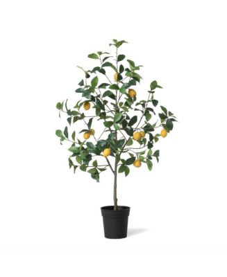 Park Hill Collection Lemon Tree in Plastic Pot - Macy's
