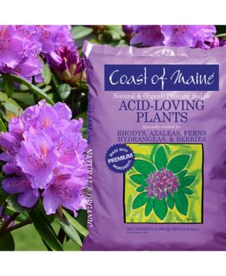 Organic Acid Loving Plants Soil 20qt.