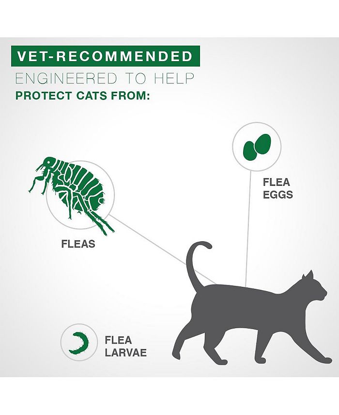 Elanco Advantage II Flea Treatment for Cats Macy's