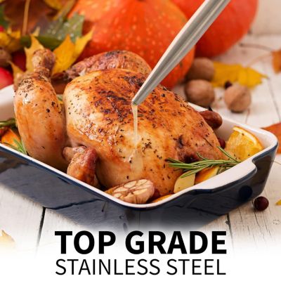 Stainless Steel Turkey Baster Syringe with Silicone Suction Bulb