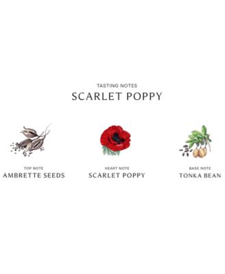 Scarlet Poppy Cologne Intense, 3.4 oz.