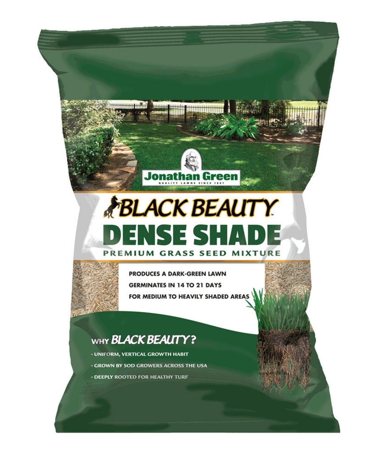 Black Beauty Dense Shade Grass Seed Mix, 3lb bag - Brown