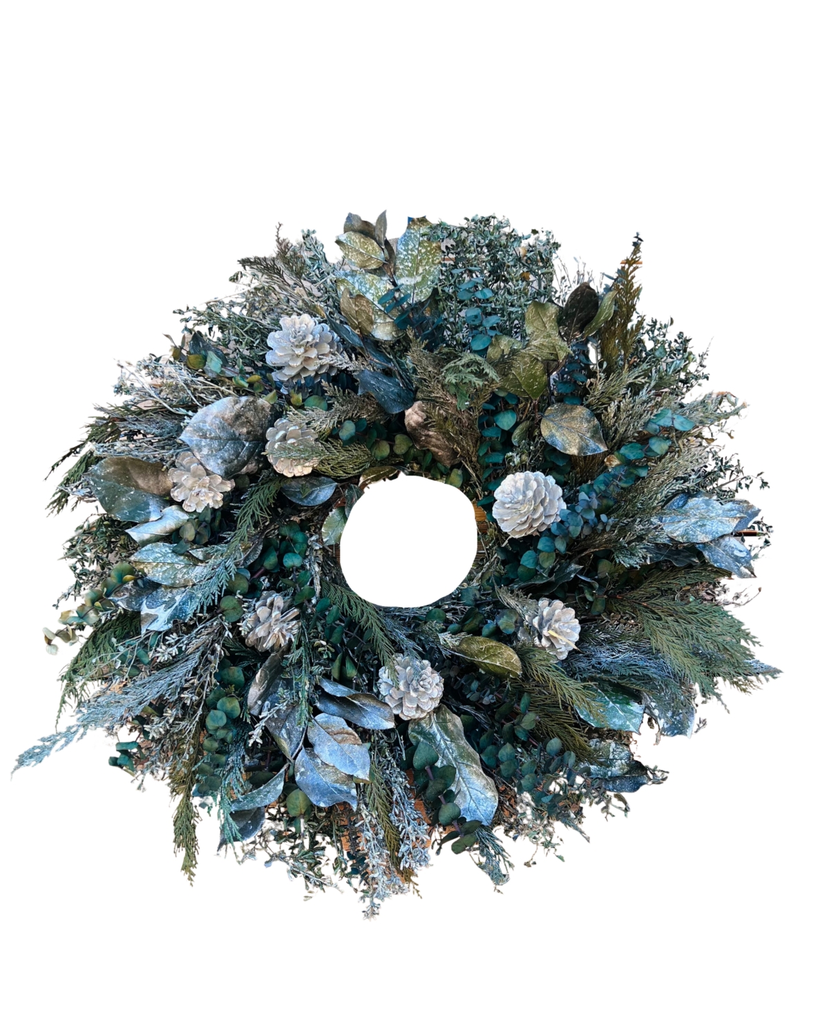 Silver and Green Real Preserved Wreath, 24"