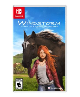 WINDSTORM START OF A GREAT FREINDSHIP - SWITCH