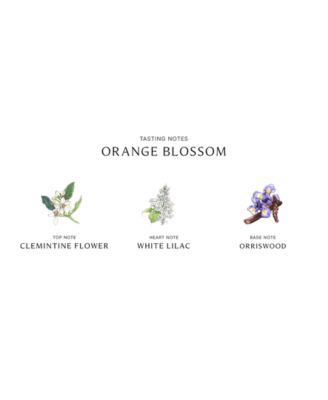 Orange Blossom Classic Candle, 7.1-oz.