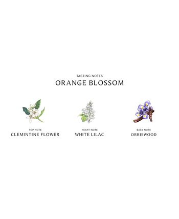 Jo Malone London - Orange Blossom Body Cr&egrave;me, 5.9-oz.