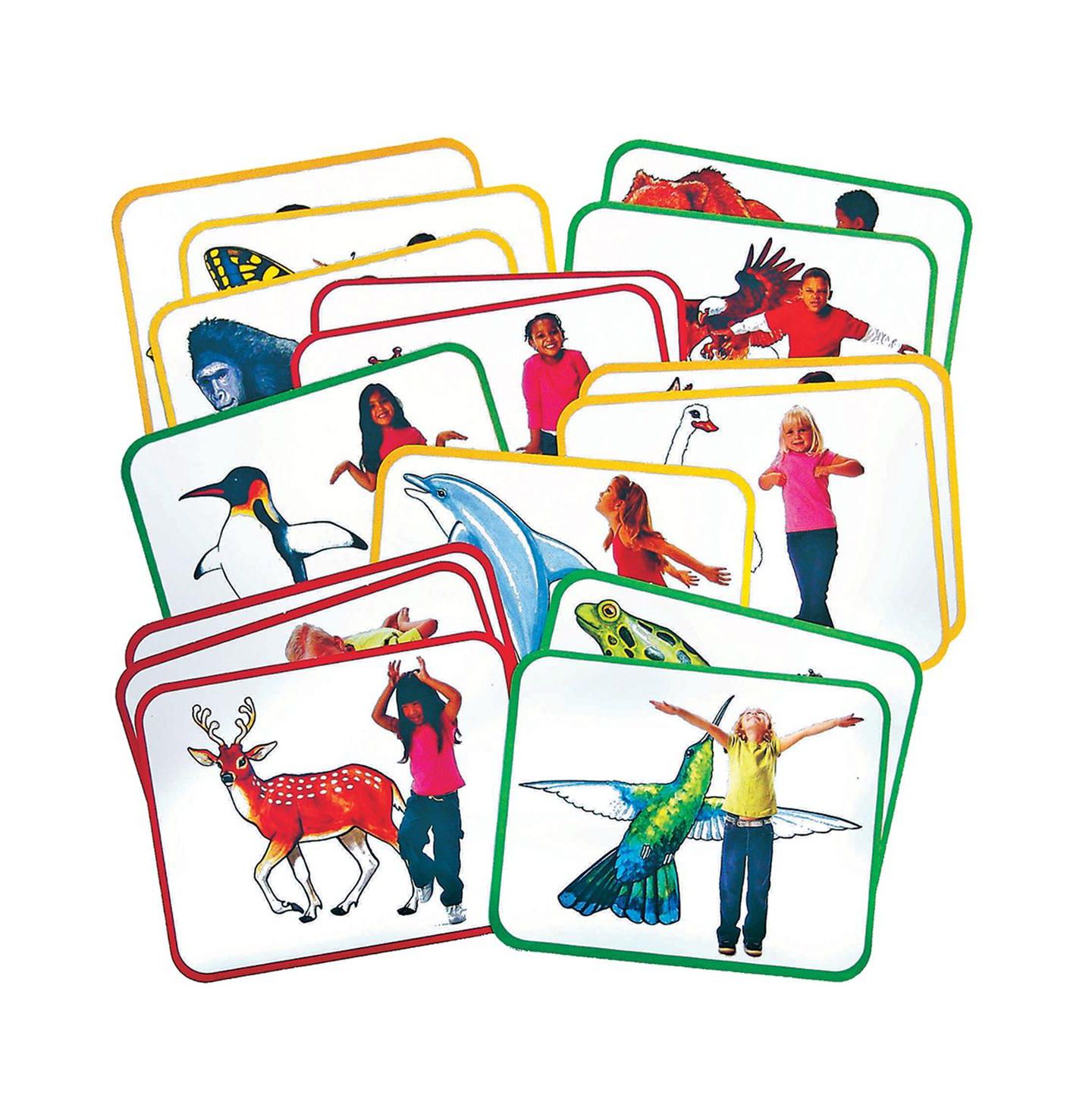 Детские карточные игры Roylco Body Poetry Animal 16-Piece Card Game, Ages 4+ — фото 1