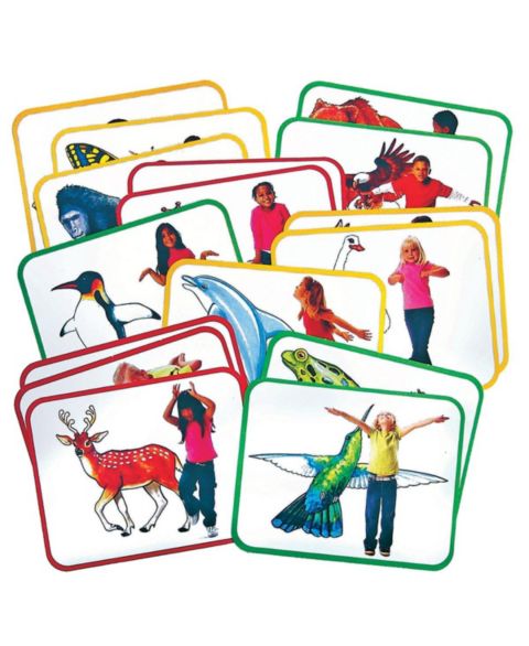 Детские карточные игры Roylco Body Poetry Animal 16-Piece Card Game, Ages 4+