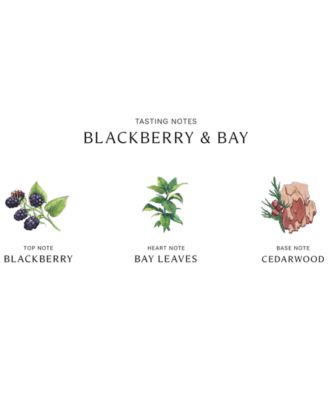 Blackberry & Bay Diffuser, 5.6 oz.