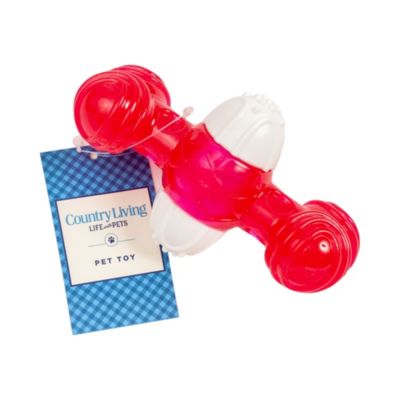 Quacker Bone Dog Chew Toy - Durable TPR and Nylon Blend for Aggressive Chewers