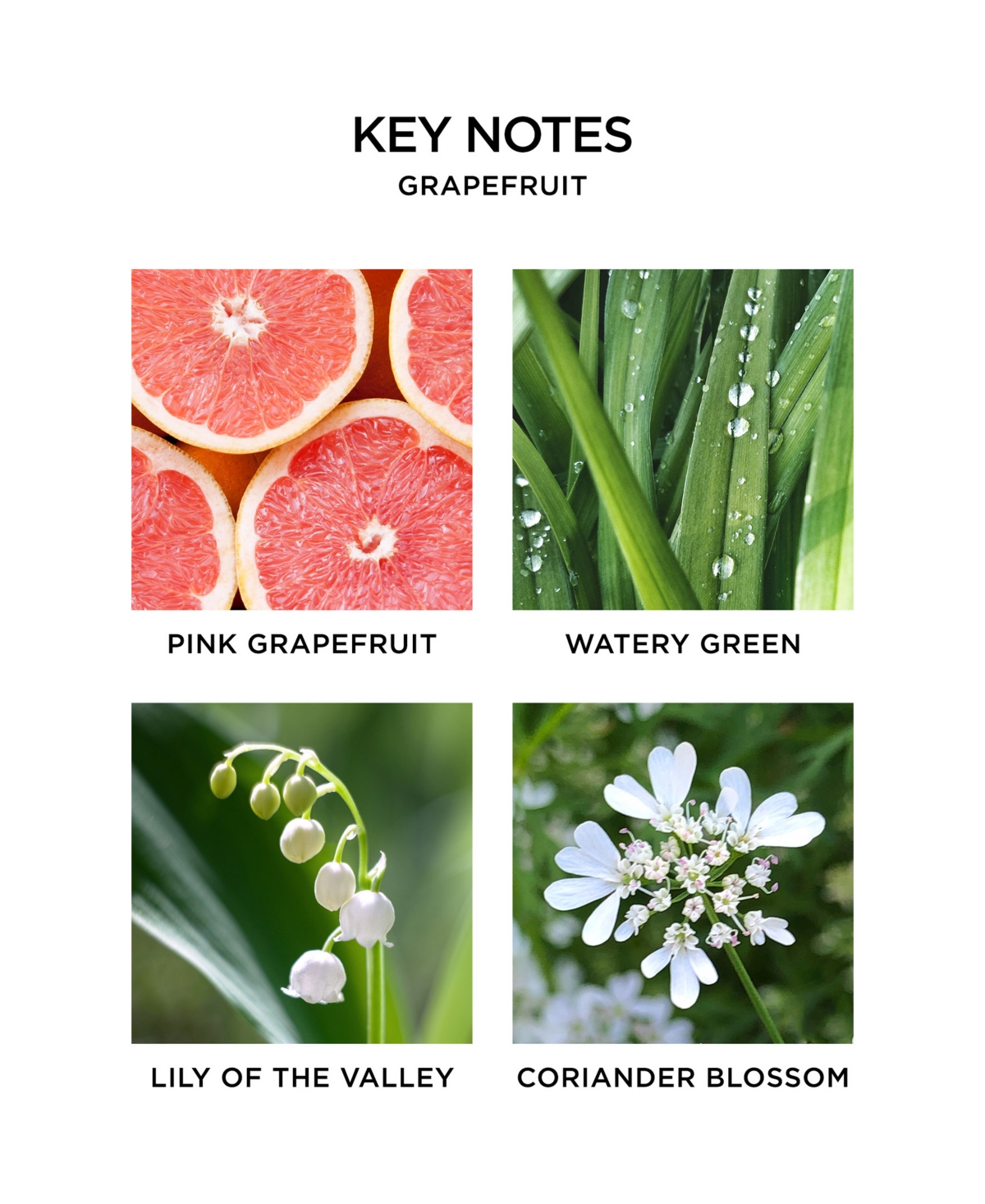 Nest New York 2-Pc. Grapefruit Wall Diffuser Set