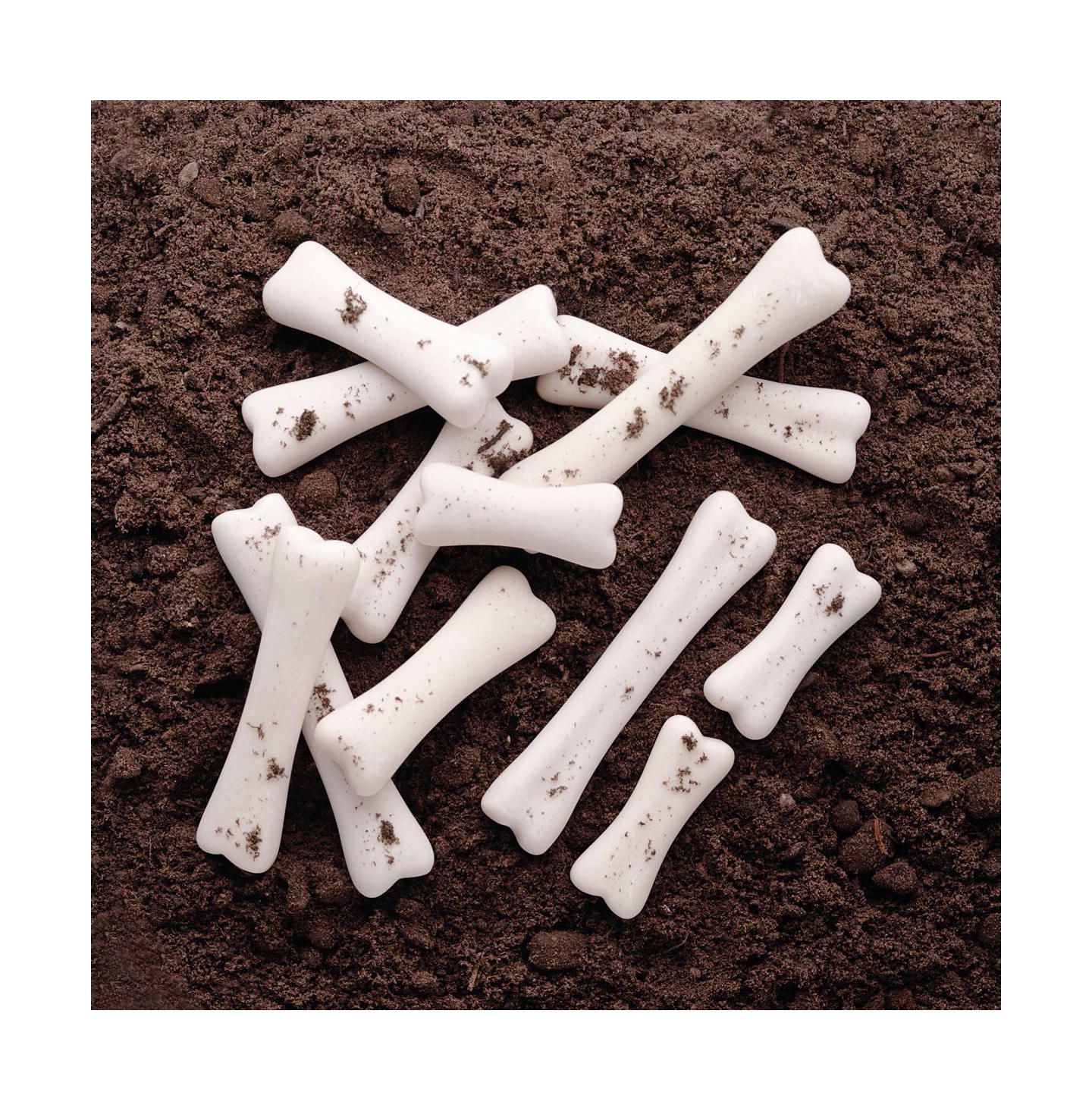 Детские игрушки Yellow Door Dinosaur Bones Discovery Math 12-Piece Excavation Kit, Ages 2+ — фото 3