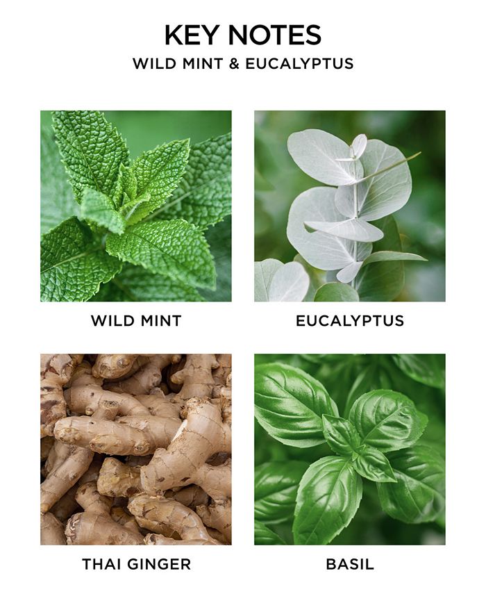 NEST New York Wild Mint & Eucalyptus Reed Diffuser, 5.9 oz. Macy's