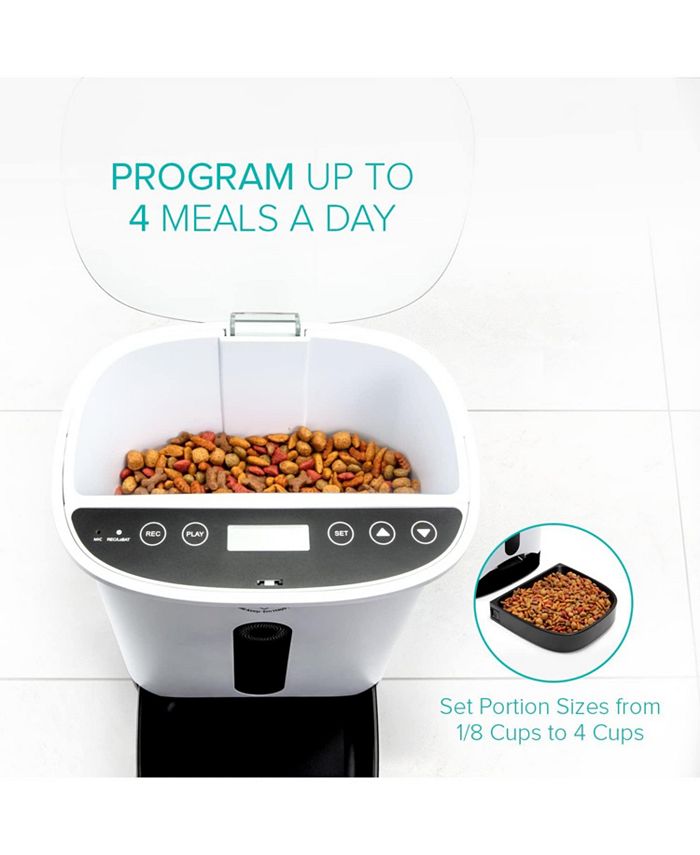 Arf Pets Automatic Pet Feeder, Food Dispenser for Dogs with Timer Macy