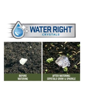 Grown Essentials Bouquet Wild Flower Mix - 2lb bag