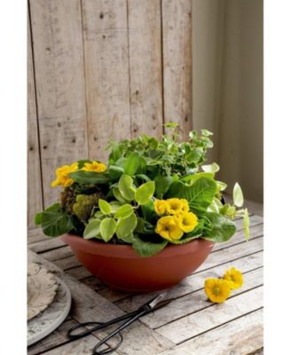 Akro Mills Garden Bowl with Removable Drain Plugs, Clay Color, 14 In