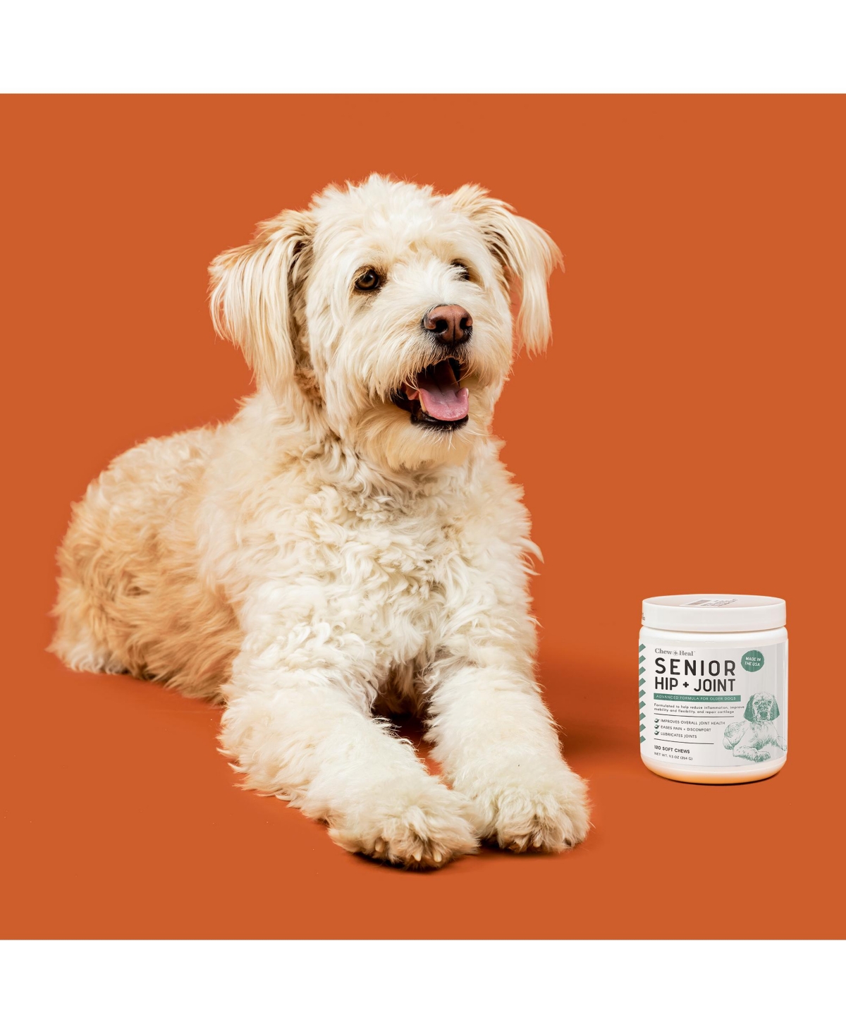 Chew + Heal Senior Hip & Joint Support Supplement for Dogs - Delicious Chews