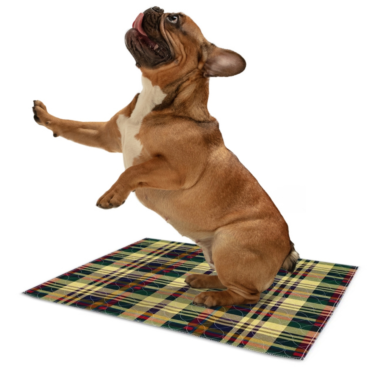 Chew + Heal MaxProtectReusable Pee Pads for Dogs, Training Underpads - 1 Pack, - Tartan Plaid