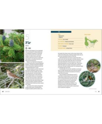 100 Plants to Feed the Birds- Turn Your Home Garden into a Healthy Bird Habitat by Laura Erickson